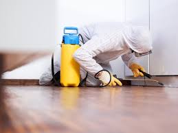 Mosquitoes Pest Control in Noida sec-10