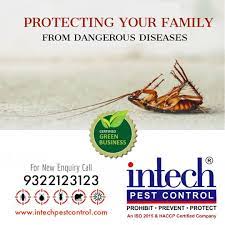 Residential Pest Control in Gurugram