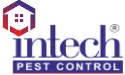 Cockroach Pest Control in South Delhi
