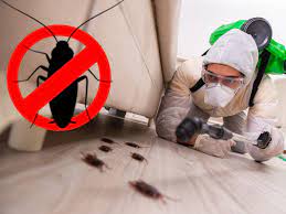 Cockroach Pest Control